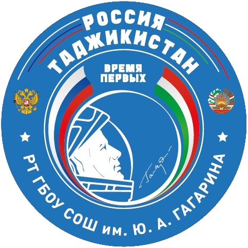РТ ГБОУ СОШ им Ю.А. Гагарина